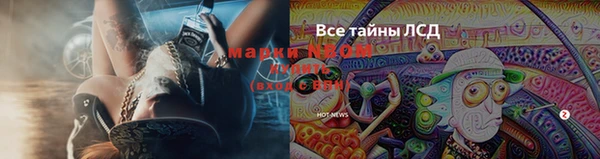 ALPHA PVP Кодинск