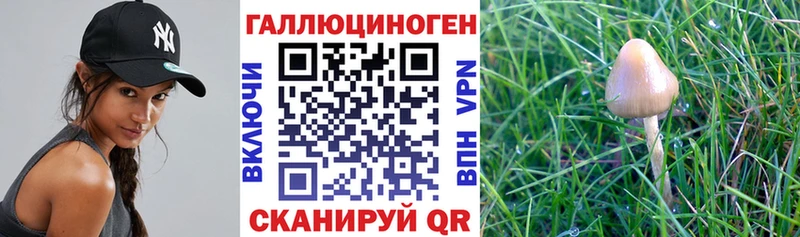 мега ссылка  Железногорск  Галлюциногенные грибы ЛСД  купить наркотики сайты 