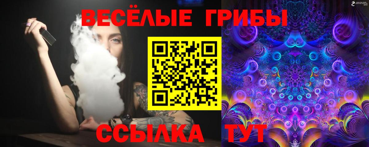 Псилоцибиновые грибы Psilocybine cubensis Железногорск