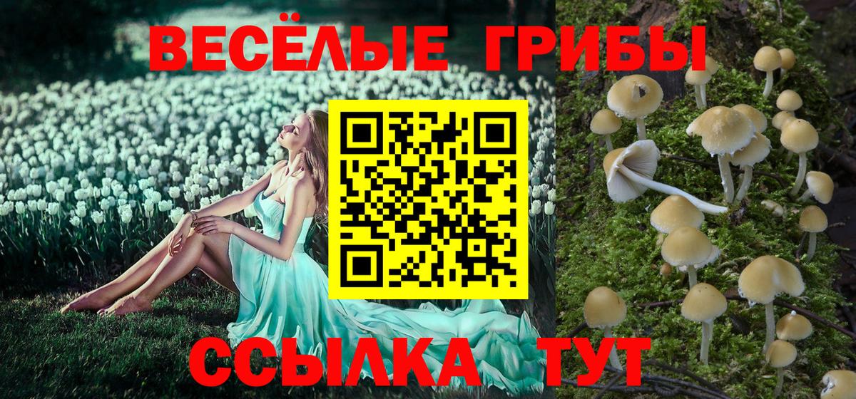 Железногорск  Галлюциногенные грибы Psilocybe  где продают   Псилоцибиновые грибы Psilocybe  Вход с VPN 